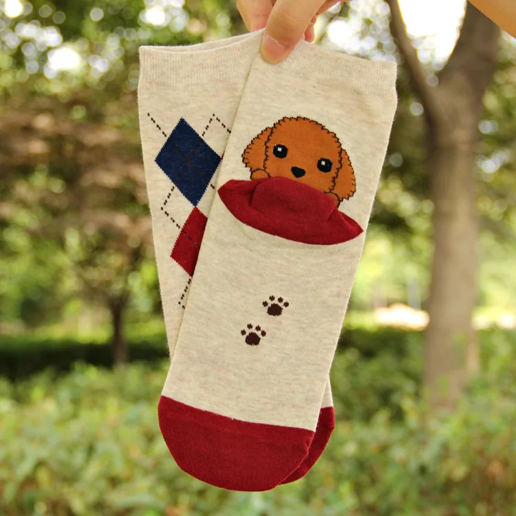 6 цветов, женские Носки с рисунком собаки, хлопчатобумажные забавные носки с животными, милые осенне-зимние модные носки с животными, хлопковые высокие носки с изображением Хаски пекинес - Цвет: C