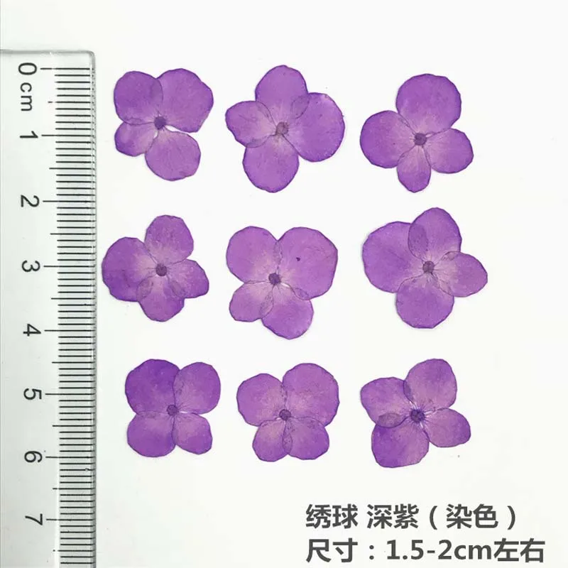 12 шт миниатюрные настоящие засушенные прессованные цветы, плоские сушеные лепестки гортензии цветка, для маникюра ногтей наклейки ювелирные изделия, цветы для скрапбукинга - Цвет: 11