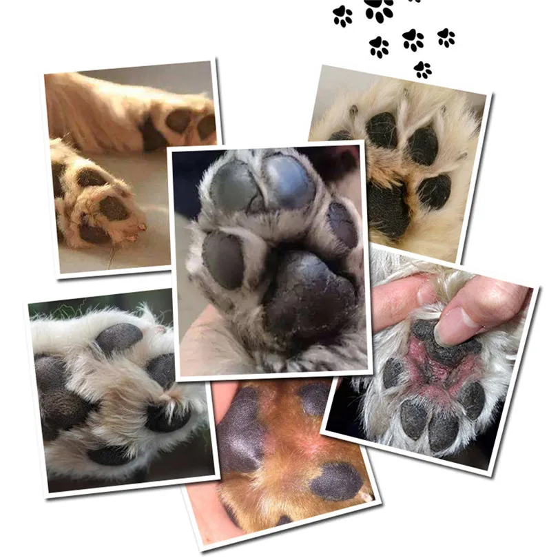 Pet Cats Dogs Foot Clean Cup For Dogs Cats Cleaning Tool Soft Plastic Washing Brush Paw Washer Pet Accessories for Dog 40DC25 (2)