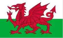 Bandeira Nacional de Poliéster Bandeira do país de gales Flying150 * 90cm 3ft x 5ft bandeira em Todo o mundo Em Todo O Mundo ao ar livre