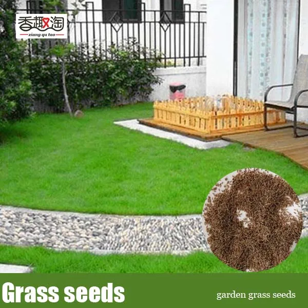 Image 1000pcs bag garden grass seeds, Perennial tropical green lawn grass seeds creeping type