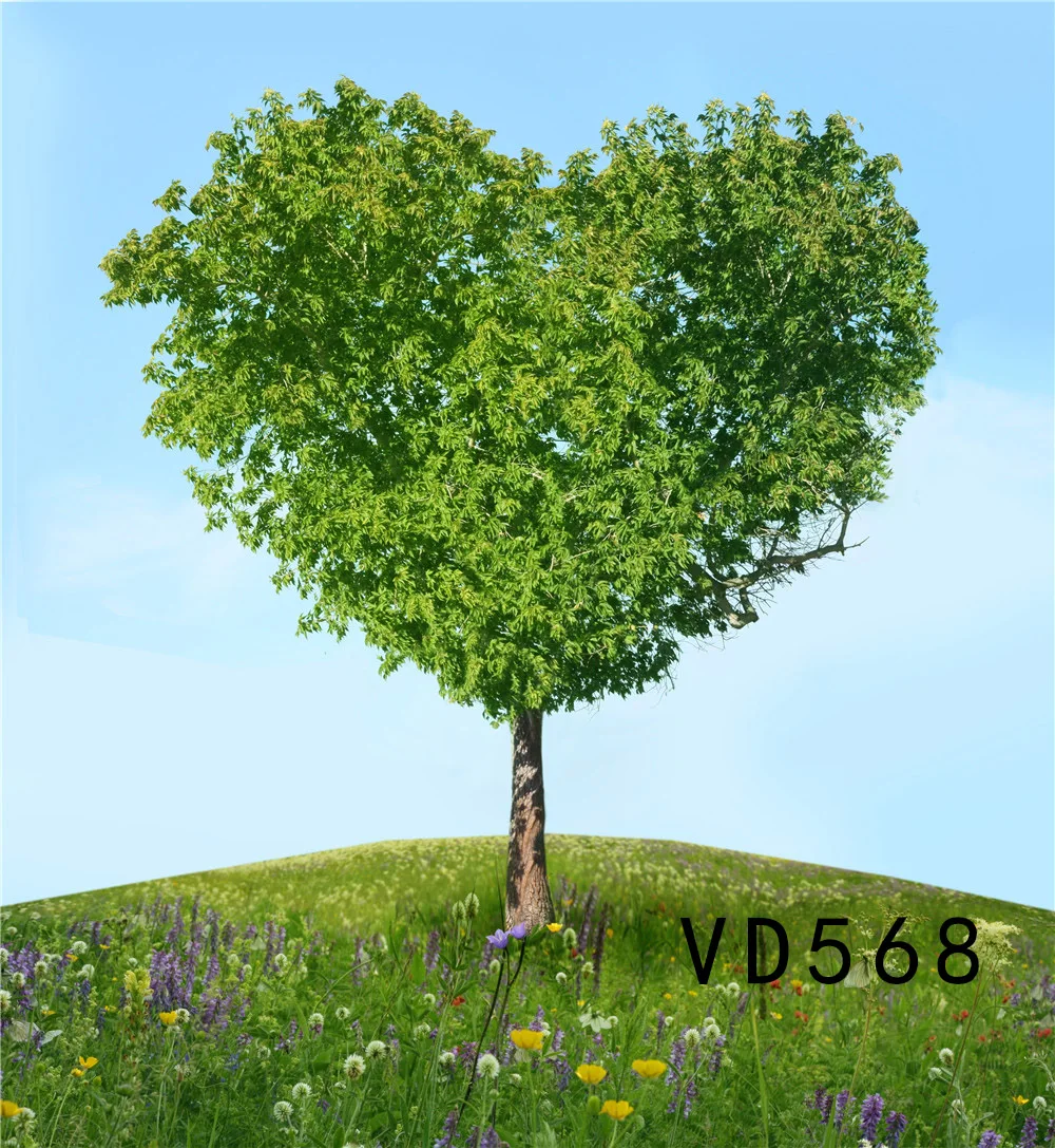 VD568