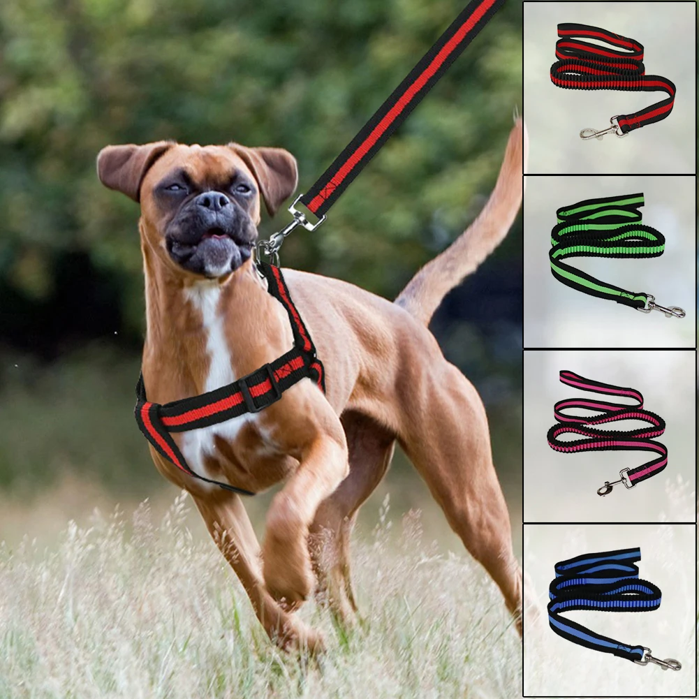 Buy Stretchable Pet Traction Rope Elastic Nylon Puppy