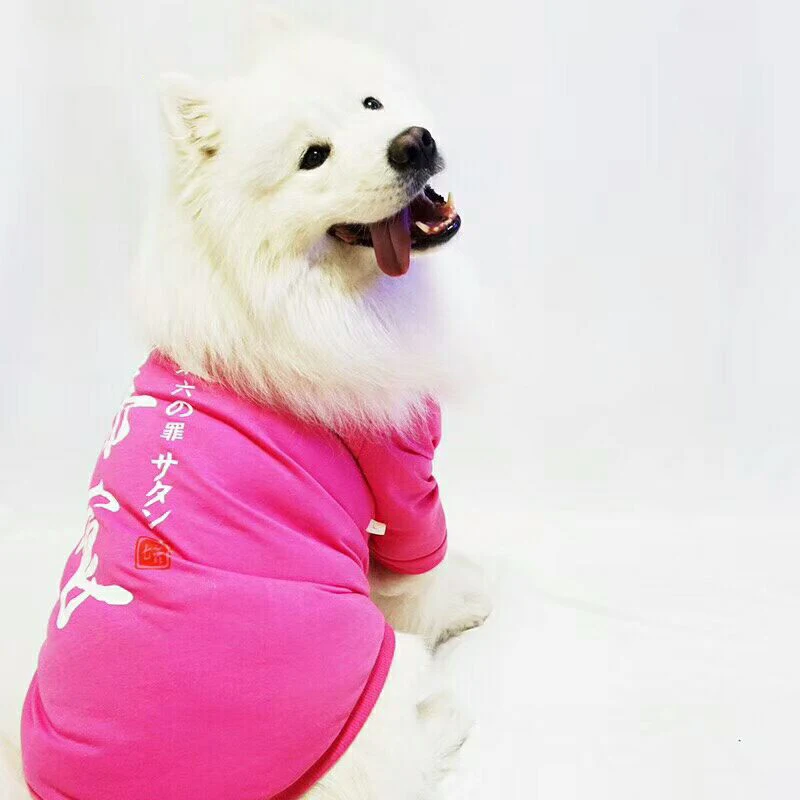 QQ20180624220019