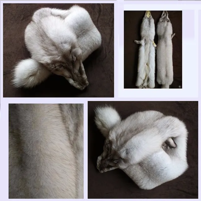 ETHEL ANDERSON naturalne pełna Pelt Vulpes Lagopus kamizelka z futra lisa w prawdziwe futro kobiet prawdziwy Fox kamizelka zimowa średniej Waiscoat kobiet tanie tanio Kobiety Prawdziwej skóry Przycisk zadaszone Dwulicowy futro Regularne Kamizelka bez rękawów Serek Standardowych Stałe ETHEL ANDERSON naturalne pełna Pelt Vulpes Lagopus kamizelka z futra lisa w prawdziwe futro kobiet prawdziwy Fox kamizelka zimowa średniej Waiscoat kobiet tanie tanio Kobiety Prawdziwej skóry Przycisk zadaszone Dwulicowy futro Regularne Kamizelka bez rękawów Serek Standardowych Stałe