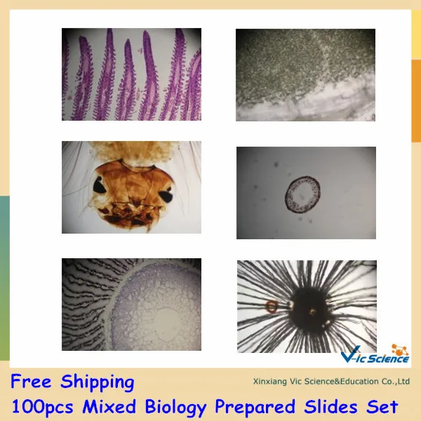 

100pcs Mixed Biology Prepared Slides Set