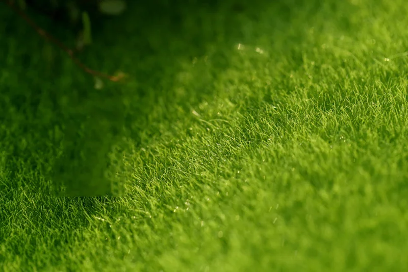 Flone Artificial PVC Grass Lawn False Moss Fake Turf Micro Landscape Decoration Accessories Home Living Room Decoration  (9)