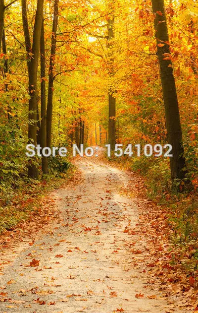 

10x10ft Customize free shipping Thin vinyl cloth photography backdrop scenery computer Printing background for photo studio f169