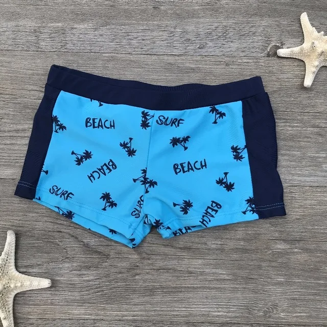 Новинка года, плавки для маленьких мальчиков нейлоновый купальный костюм с рисунком детские плавательные шорты Пляжные штаны для малышей Одежда для купания для детей возрастом от 2 до 8 лет - Цвет: Небесно-голубой