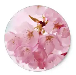 1.5 дюйма Мягкие Винтаж розовый цвет вишня Классический круглый Стикеры