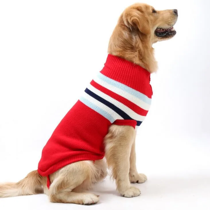 köpek kazağı