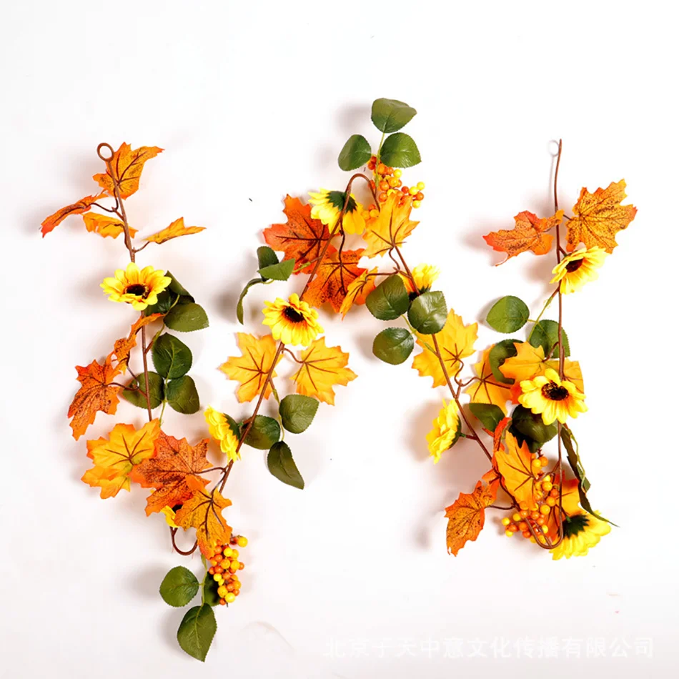 9376456825_1438985859