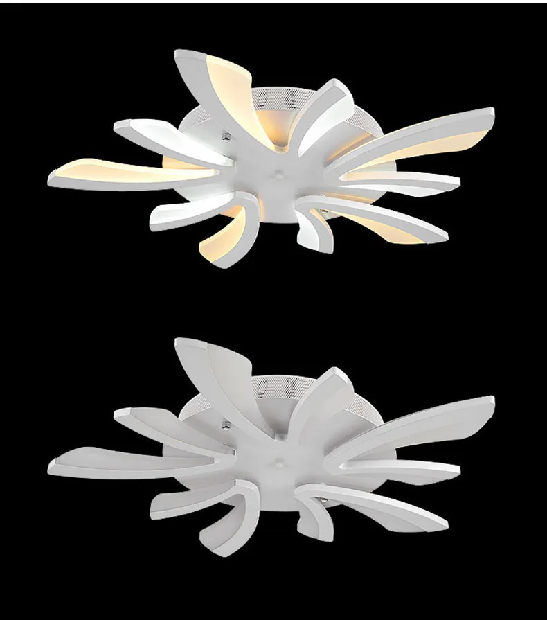 2687510578_1833629700