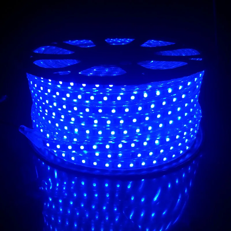  220 Volt LED Strip Lighting RGB Flexible Ruban 5050 60 leds/m with 20 Keys Remote Control Outdoor W - 32868402017