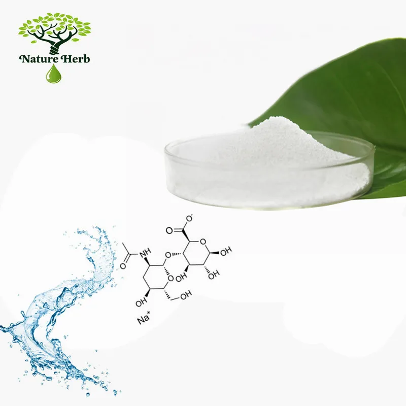 Cosmetic Grade Hyaluronic Acid Powder CAS No 9004-61-9