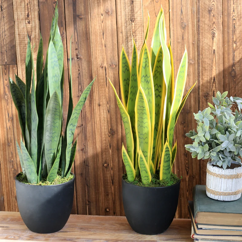 Искусственное суккулентное растение Agave пустынные растения Sansevieria Trifasciata Prain домашний офис Декор Искусственный Бонсай тропические листья