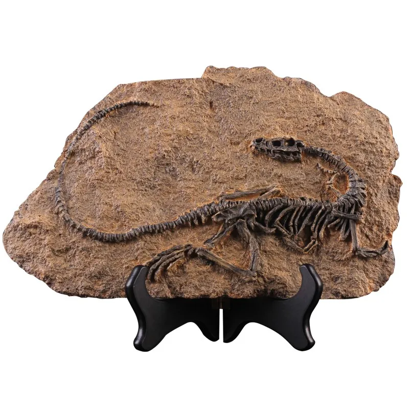 Creative Nordic Wall Decoration Dinosaur Fossil Resin Crafts Wall ...