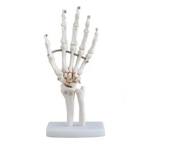 hand