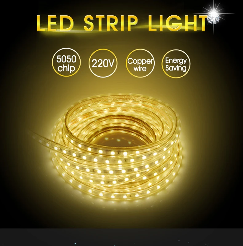 LED Light Strips Warterproof 60ledsm 220V Flexible Light Tape with EU plug Warm White for Outdoor Garden Car Kitchen (21)