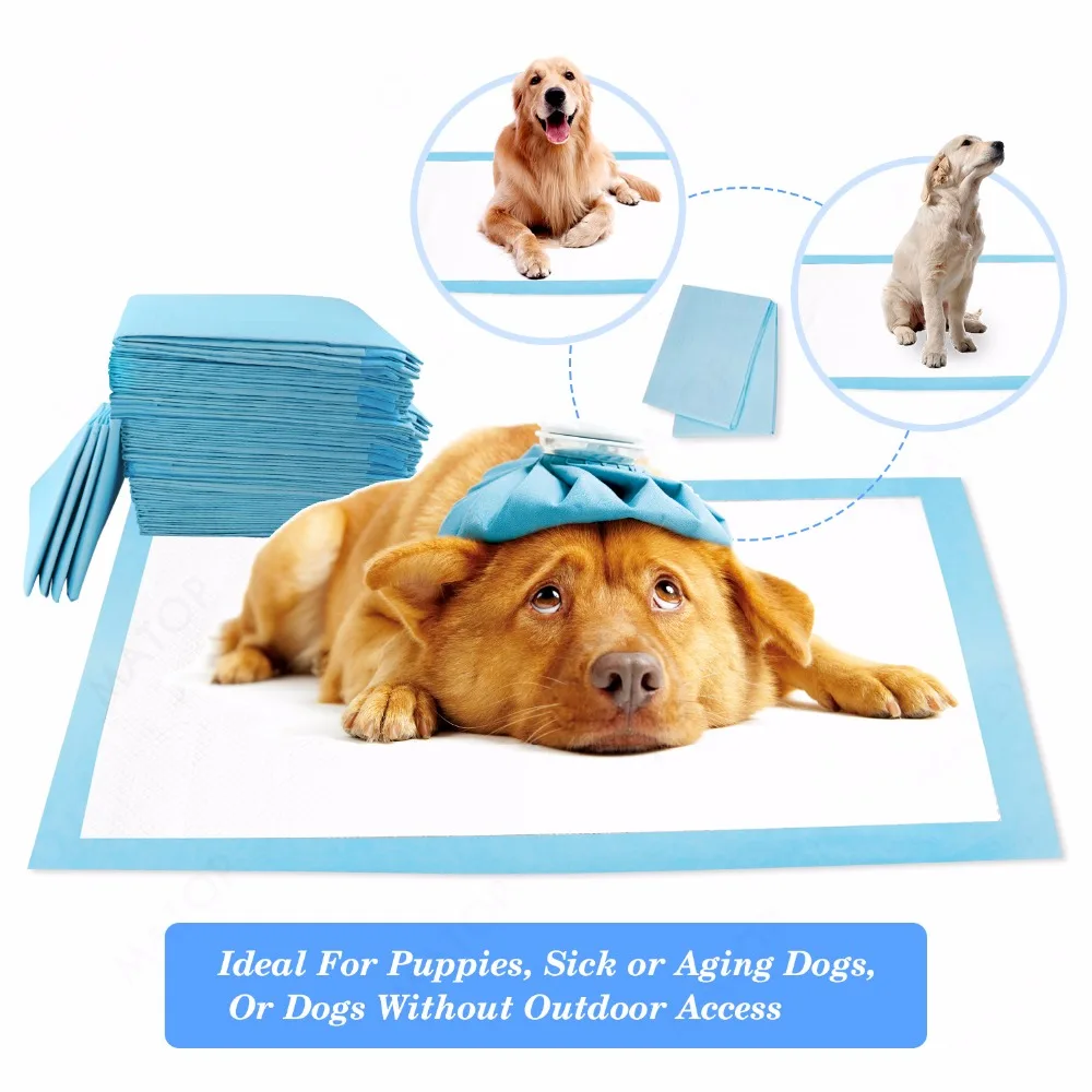 dog urine pad (7)