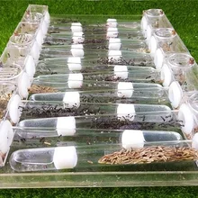 18 мм стеклянные трубки Муравьиное гнездо акриловая муравьиная ферма Granja de Hormigas nid fourmis клетки для насекомых муравьи замок для студентов научное устройство