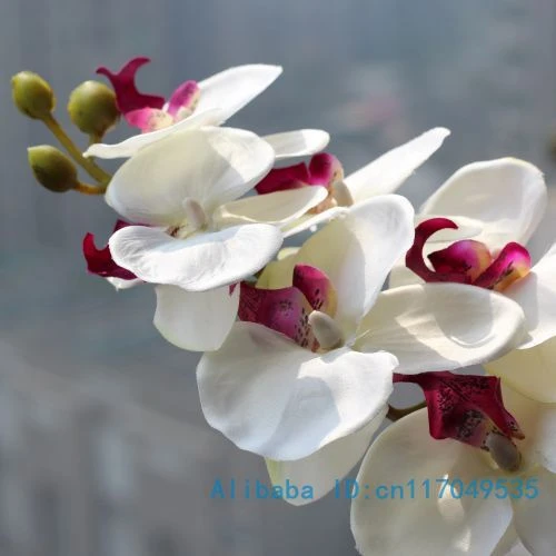 Flor de seda Artificial para decoración de hogar, orquídea de polilla  Artificial, mariposa, orquídea, 6 tipos, 12 colores, 1 tallo, F152|moth  orchid|butterfly orchidsilk flowers artificial - AliExpress