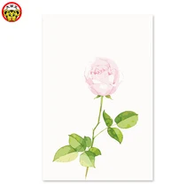 Цифровая картина маслом белая роза, чтобы украсить свою собственную площадь, чтобы покрыть номер