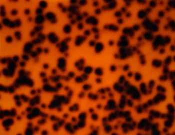 

300mm x 200mm x 3.0mm (L x W x T), Acrylic (PMMA) Tortoiseshell Sheet - 6 pcs/lot