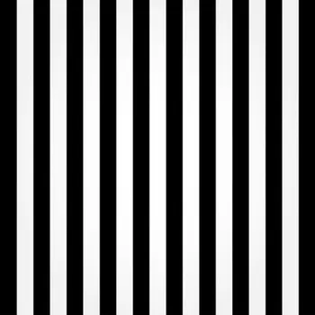 

Black And White Striped Wall backdrops Vinyl cloth High quality Computer print party photo studio background