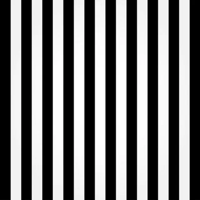 Listrado preto E Branco Parede de Vinil cenários De pano de Alta