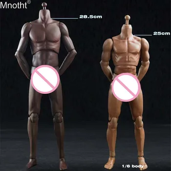 

Mnotht 1/6 Super Sport Body White Black Skin Flexible Muscle Male Body T01 T02 Model for 12in Toys Soldier Action Figure m6n