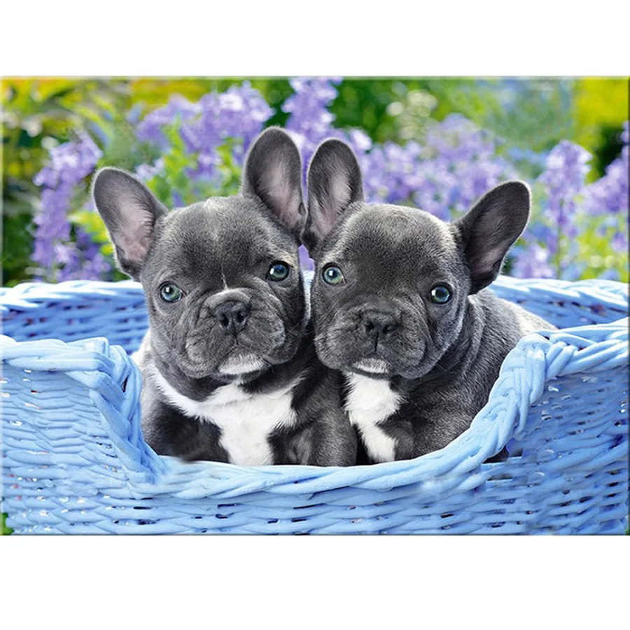 

DIY diamond painting French bulldog puppies full diamond embroidery square rhinestones Needleworks bead cross stitch JS4267