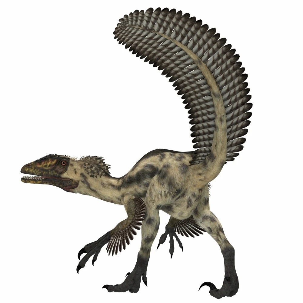 Deinonychus  a carnivorous dinosaur from the early Cretaceous Period Poster Print (14 x 14)