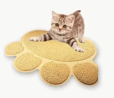 3232