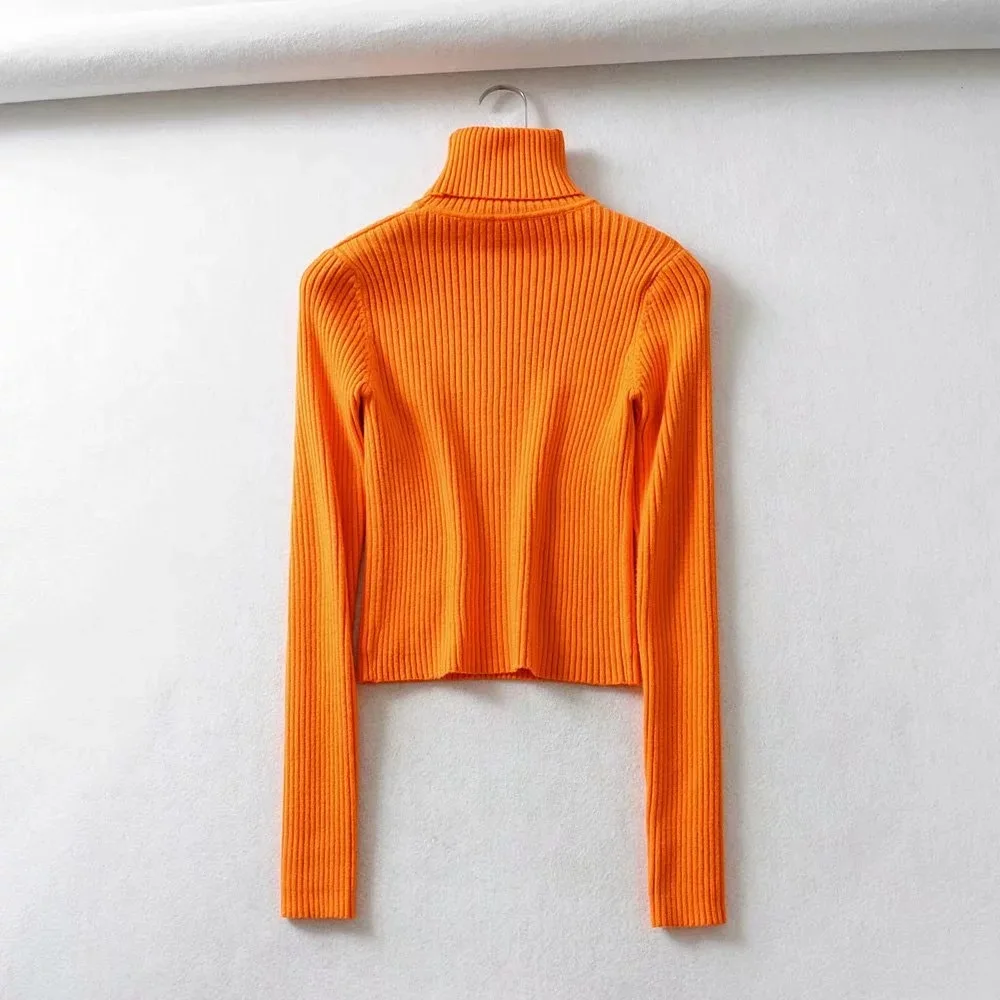 Long sleeved Womens Fall Sweaters turtle neck knitting thin Sweaters Pullovers korean chic casual basic Sweaters streetwear