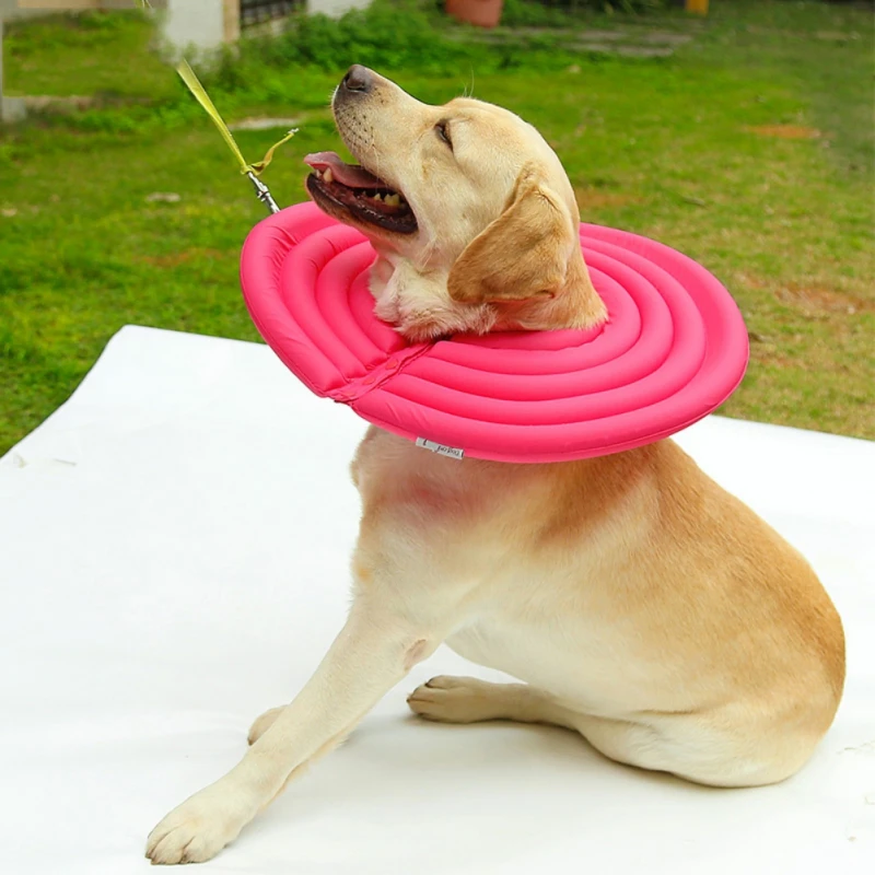Dog Protective Collar Pet Recovery Collar For Dogs And Cats Super Light