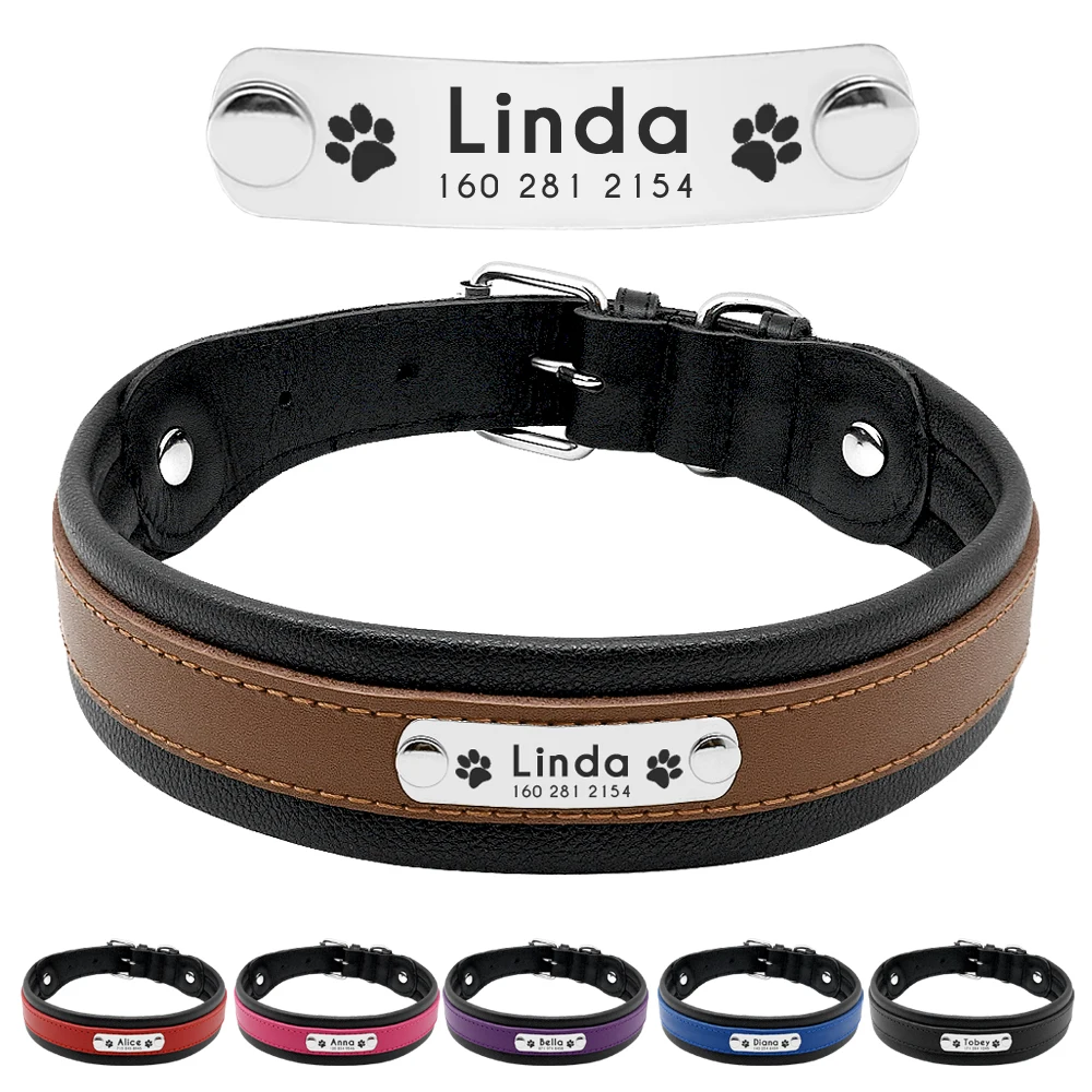 Collar Perro Cuero Ajustable - Con Placa Identificación Grabada, 38-49cm, Para Perros Pequeños, Medianos, Grandes