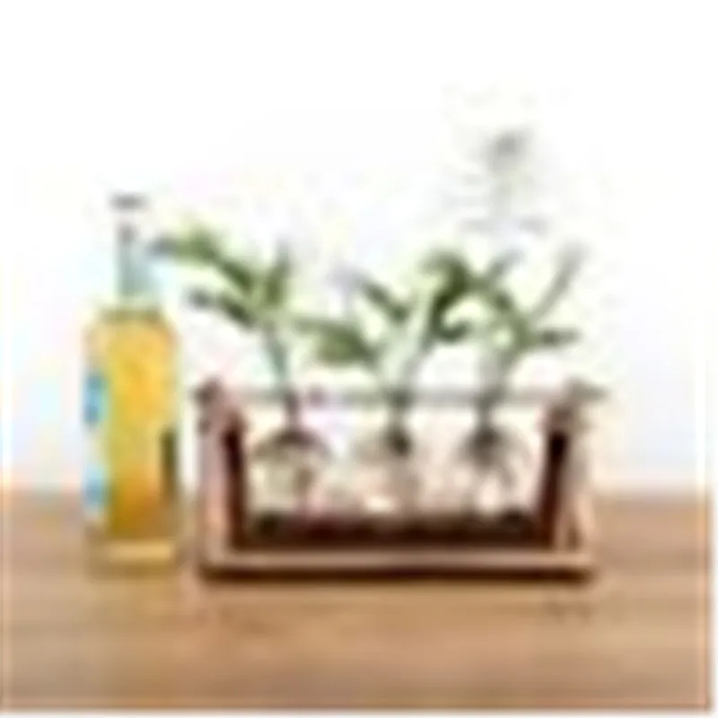 Современные новые и модные стеклянные вазы настольная деревянная подставка винтажный домашний декоративный горшок для цветов горшок Террариум Bonsa - Цвет: Wooden frame 3