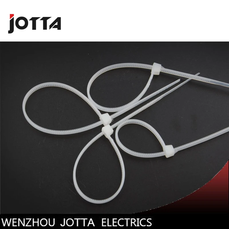 

4*200mm Fixed plastic nylon ligation with self locking white strap 500pcs