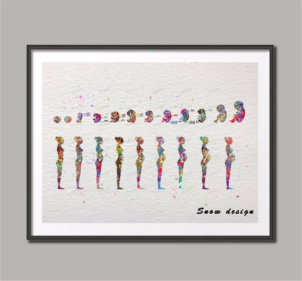 

Original watercolor Pregnancy stages canvas NON diamond painting Anatomy Wall art Medical poster print Pictures Home Decoration