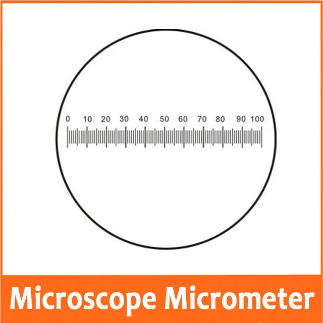 0.05MM Glass Slide Scale Measuring Microscope Micrometer