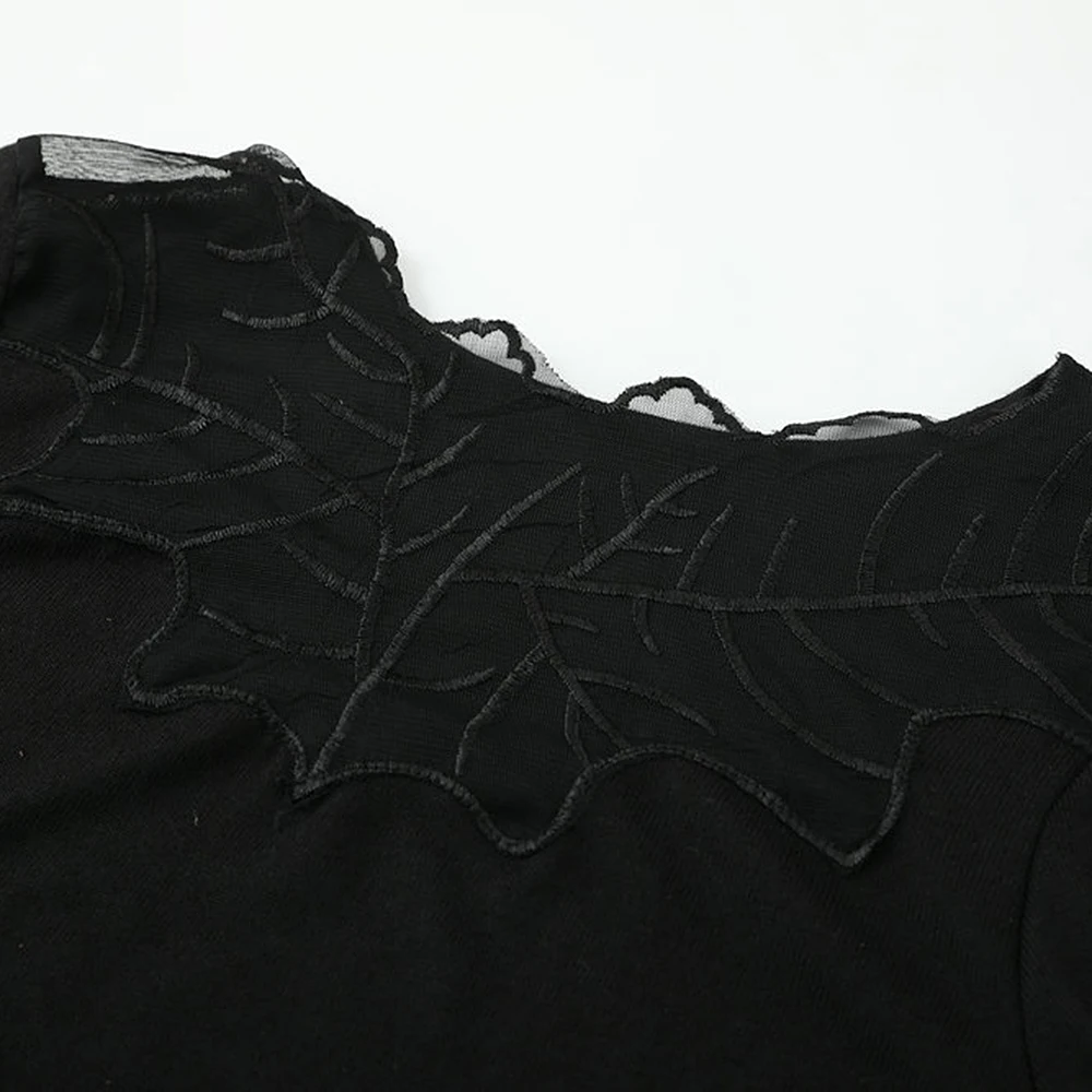 ZS (3)