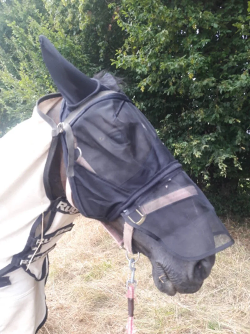 الحصان يطير قناع الوجه غطاء رأس الحصان معدات ركوب الخيل سباق الفروسية Paardensport يطير بونيه صافي الأذن المكس حامي الحصان يطير قناع الوجه غطاء رأس الحصان معدات ركوب الخيل سباق الفروسية Paardensport يطير بونيه صافي الأذن المكس حامي