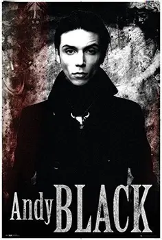 

Home Decor Andy Black - Music-Silk Art Poster Wall Sicker Decoration Gift