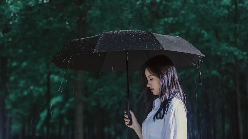 Xiaomi Mijia Automatic Sunny Rainy Umbrella Aluminum Windproof Waterproof UV Umbrella Man woman Summer Winter (14)
