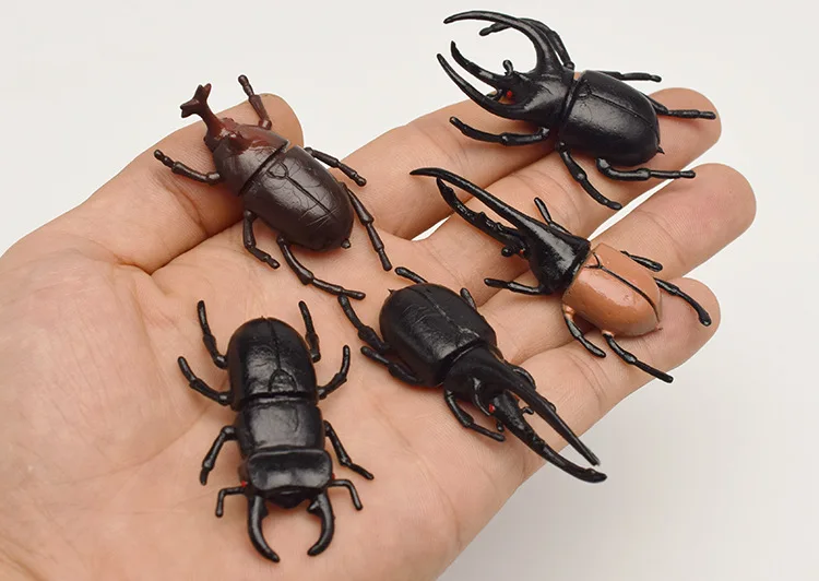 5 шт., 5,5 см, игрушечный жук, реалистичная модель, игрушка-насекомое, Детские Обучающие принадлежности, детская коллекция игрушек