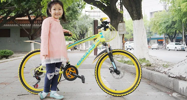 Top Mountain bike High Quality Carbon Steel Materials 21 Speed 22 inch Variable Speed Double Disc Damping 5