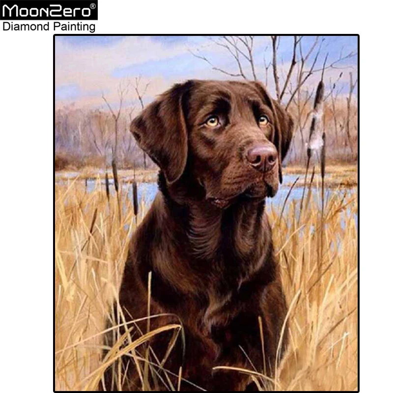 2018 New Selling 5D Diy Diamond Painting Cross Stitch Labrador Dog Full Square Embroidery Rhinestone Mosaic Needlework | Дом и сад