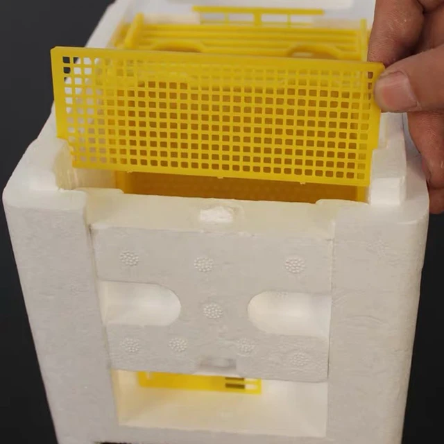 Méh Párosító Tenyészdoboz 241*148*166 Mm Méhész Tipikus Méhek Csalánkiütés Eszközök Felszerelés Jó Szigetelés - Image 4