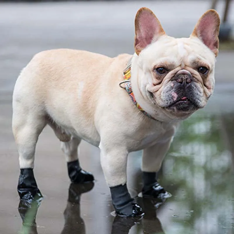 french bulldog shoes for dogs